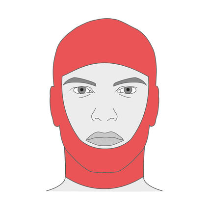 Jobskin® Interim Face Mask